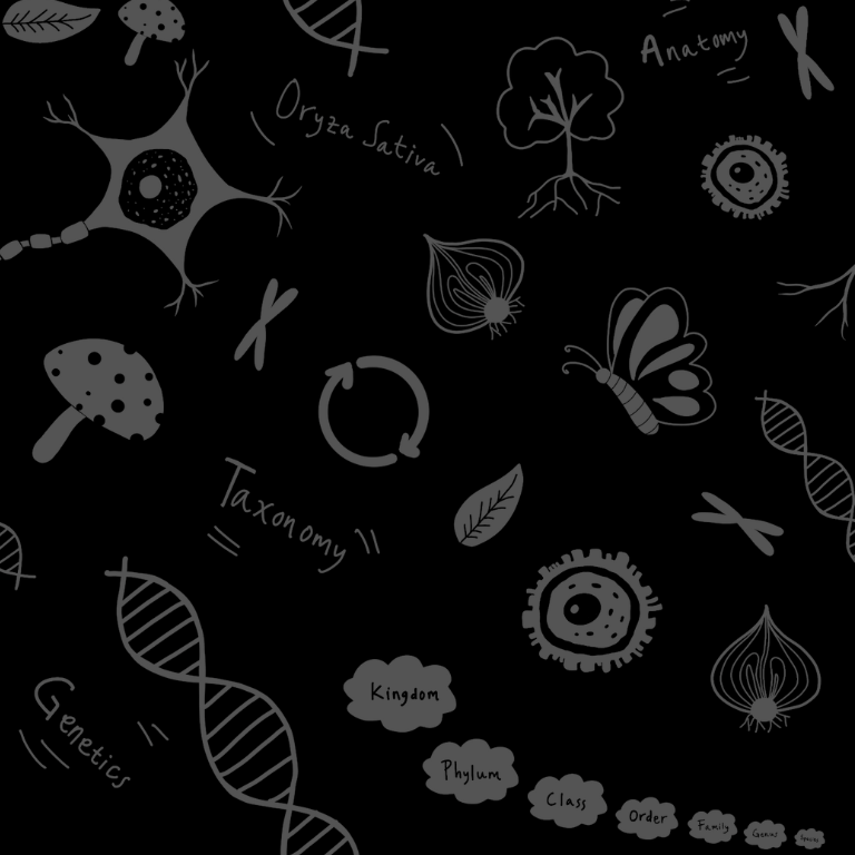 Background shape image